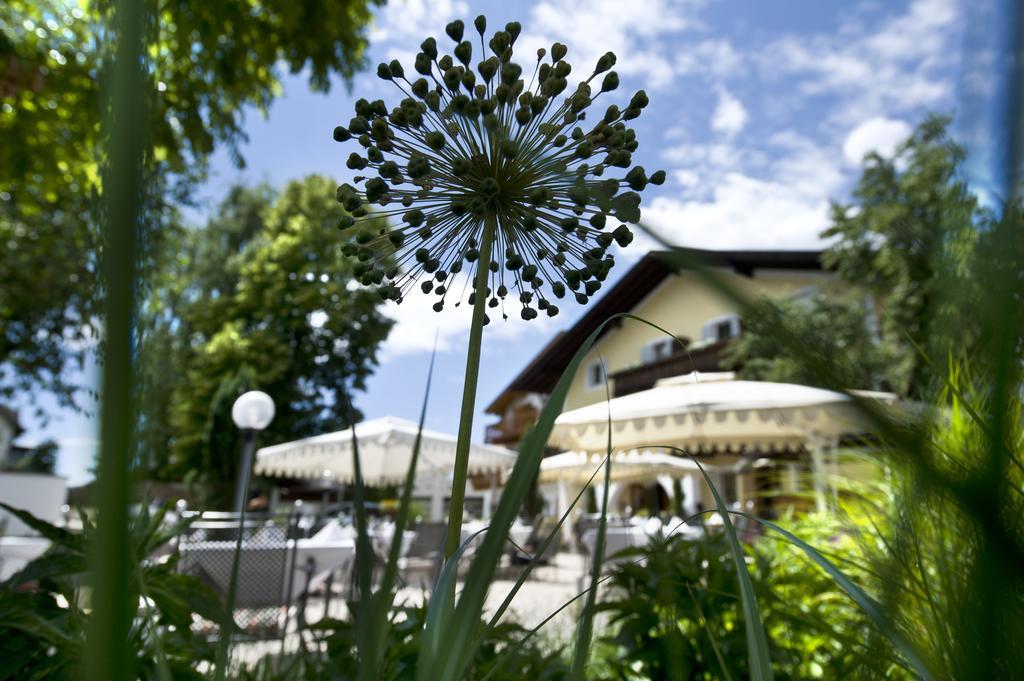 Gartenhotel Voelser Hof - Adults Only Fiè Eksteriør billede